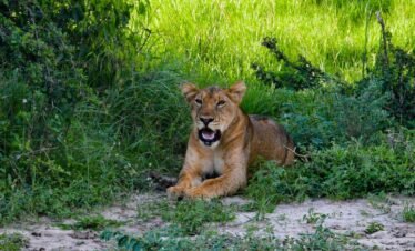 matthew-essman-F57Cw1eyVww-unsplash-1